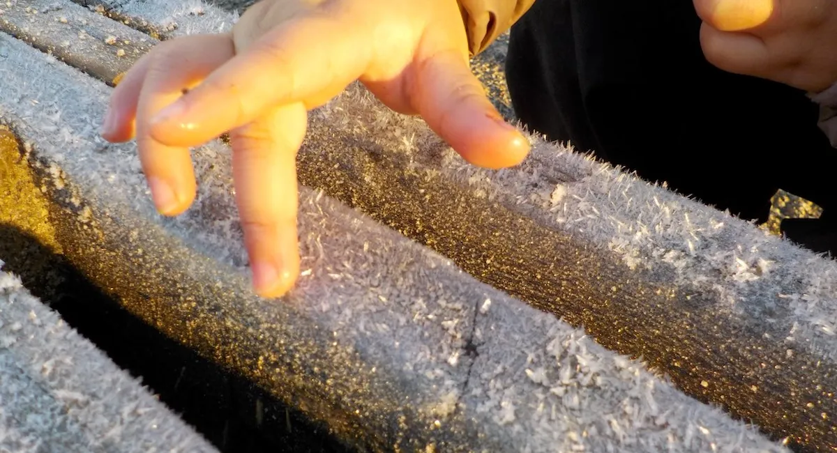 en barnefinger kjenner på rimfrost