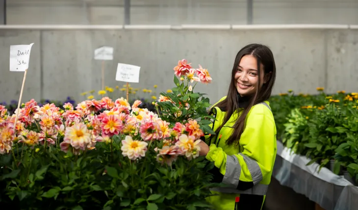 Cristina steller planter i drivhuset