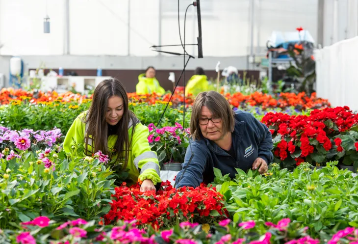 Cristina og læremesteren hennes i gartneriet.