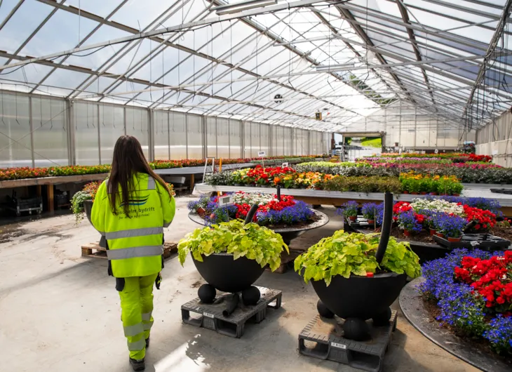 Cristina med hele drivhuset i bakgrunnen.