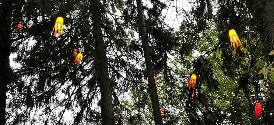 Skog med lykter p&aring; Dalen