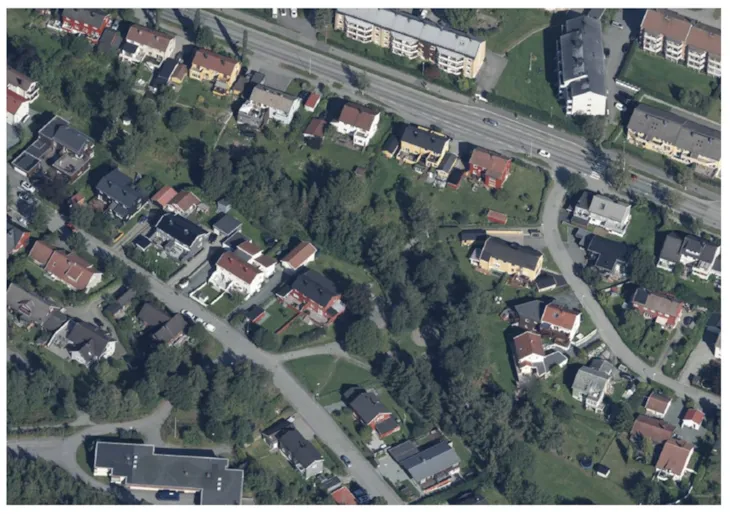 flufoto av grøntdrag