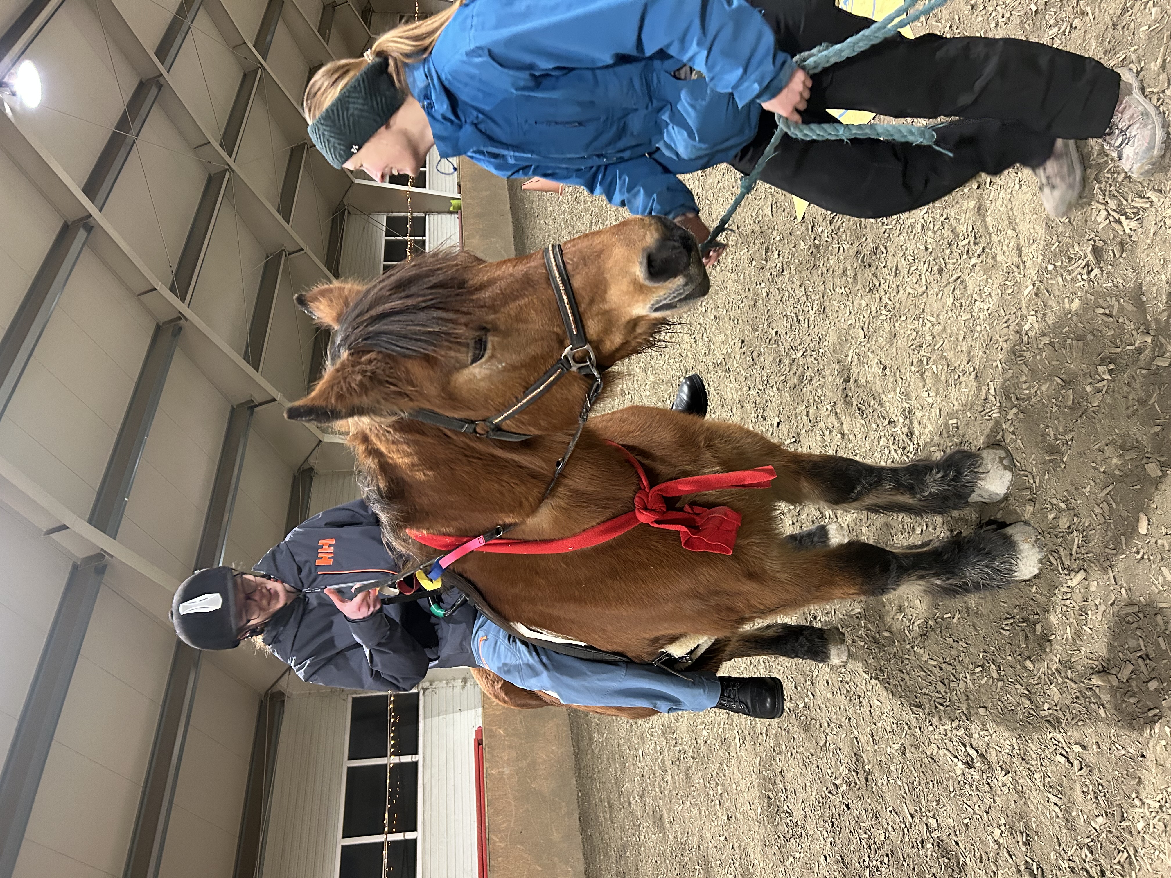 Ridning p&aring; Foss Aune g&aring;rd 