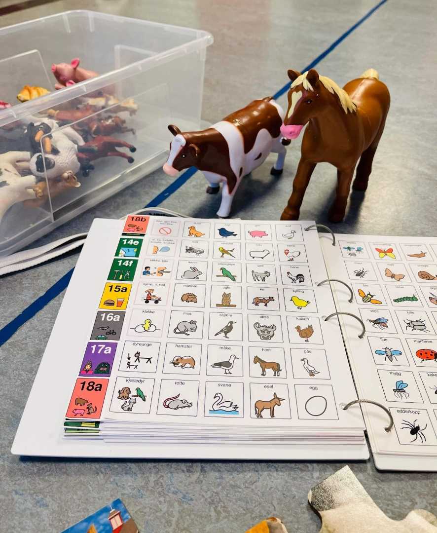 Bok med forskjellige dyr