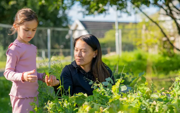 Kine og ett av barna i barnehagen er ute i grønnsakshagen.