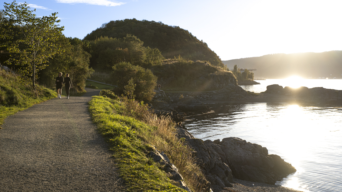 sti ved sjøen med lav sol