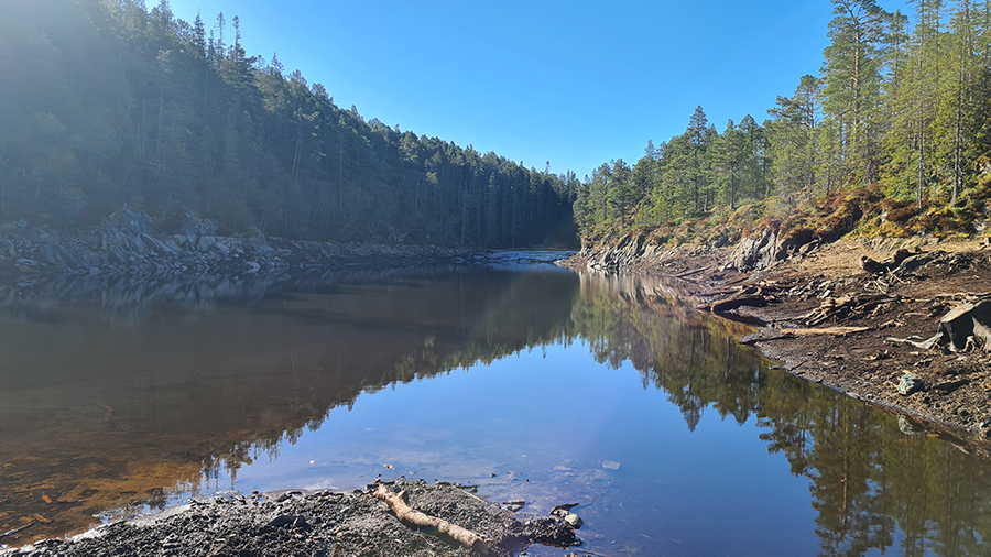 Svarttjerndammen