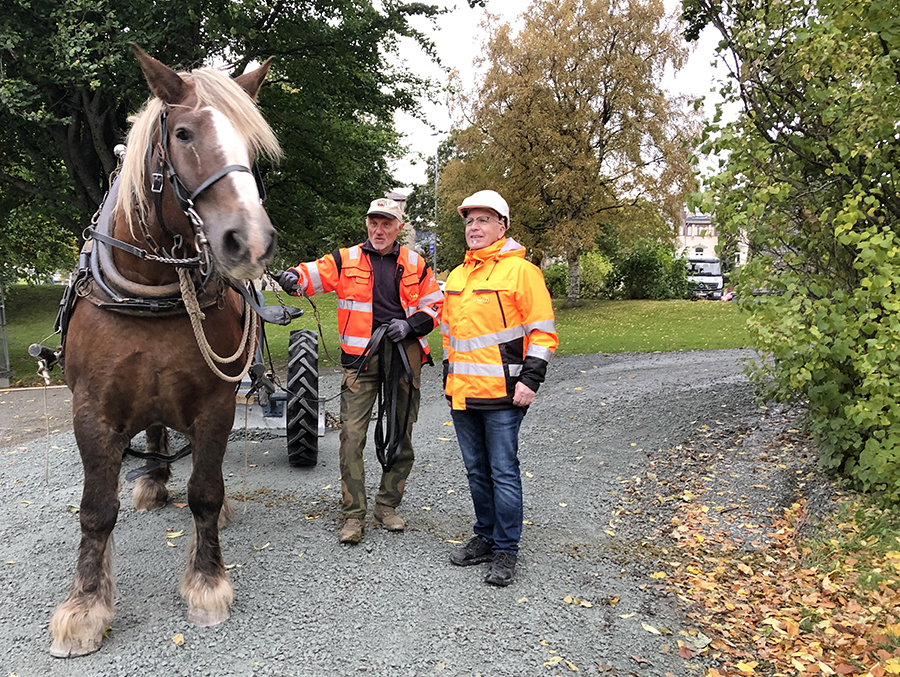 Hest p&aring; Marinen