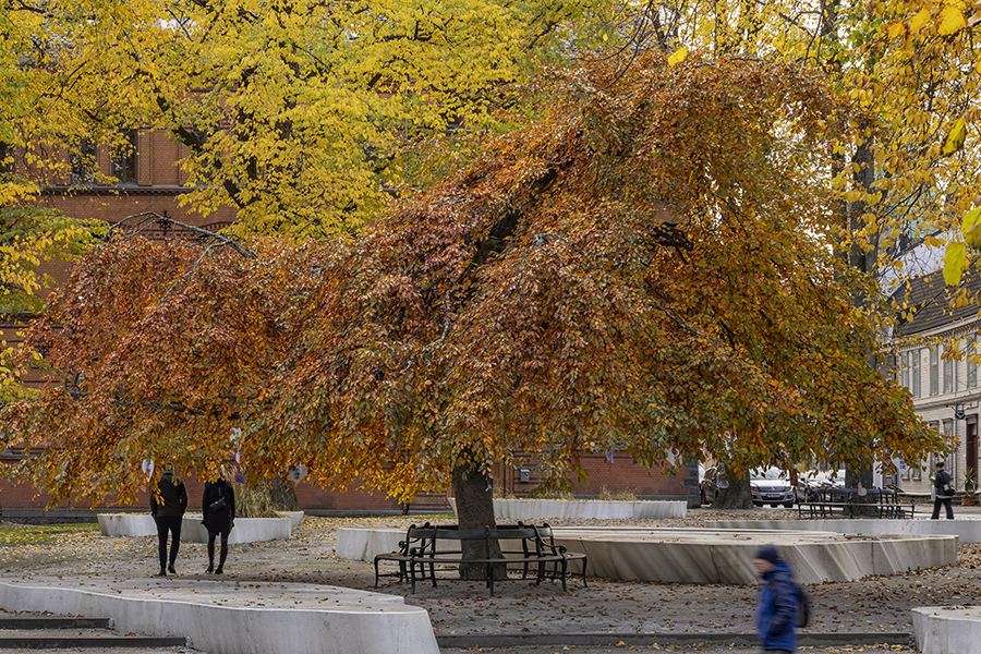 tre p&aring; 22. juli plassen