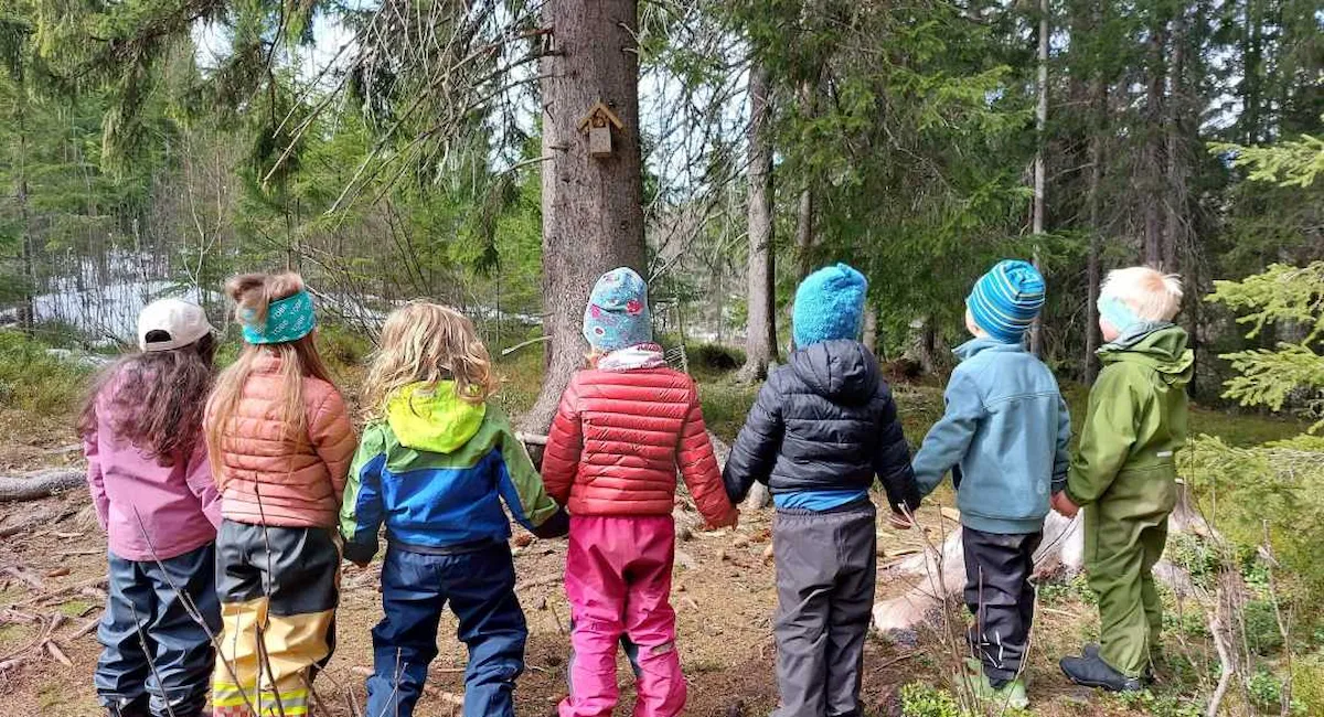 Vårtur i skogen