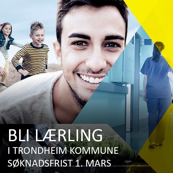 Illustrasjonsbilde med tekst: Bli lærling i Trondheim kommune, søknadsfrist 1. mars