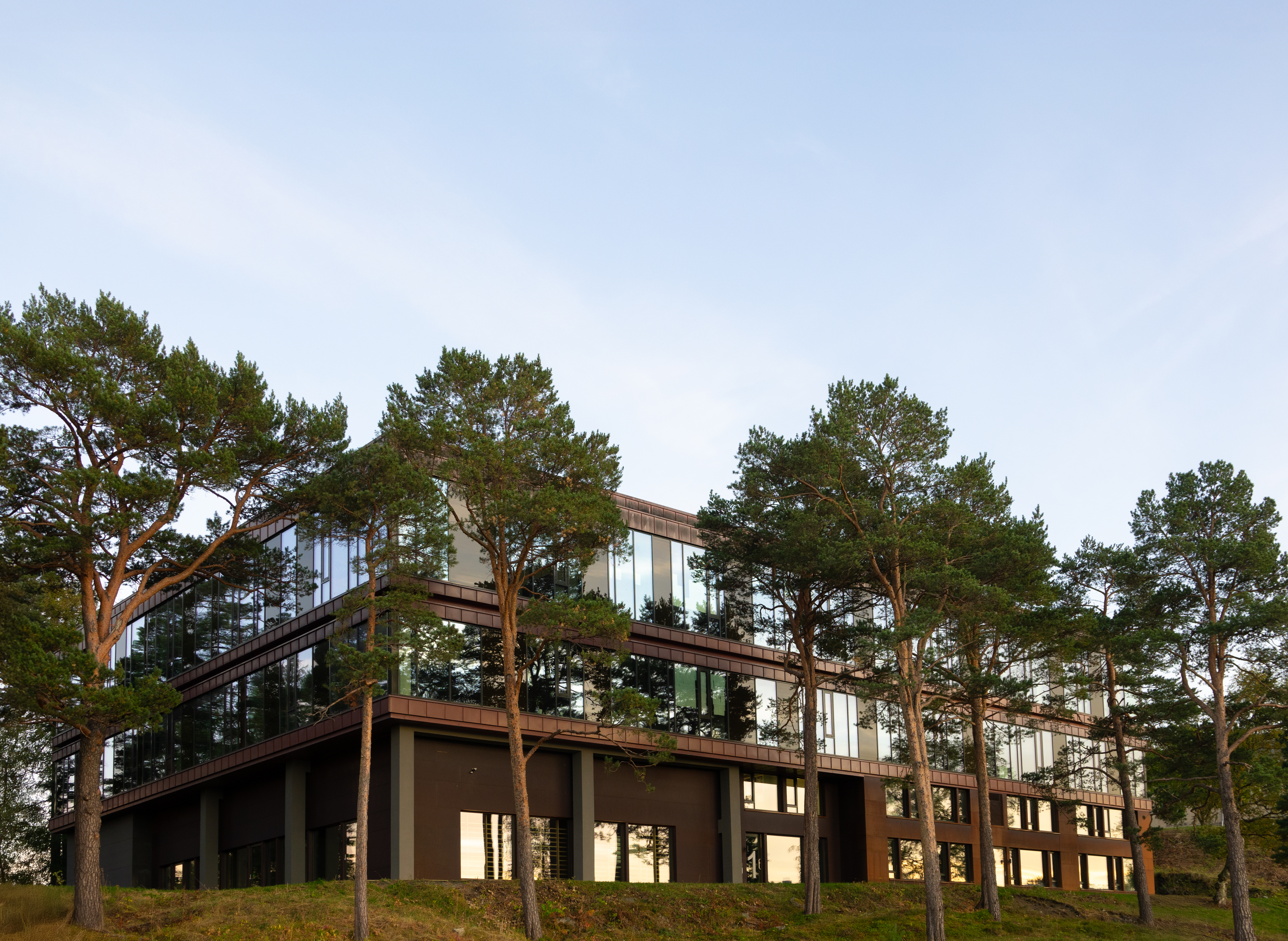 Dronefoto av byg&aring;rden i Olav Tryggvasons gate 19. Foto: Wittrup