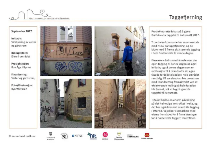 Til større bilde om taggefjerning