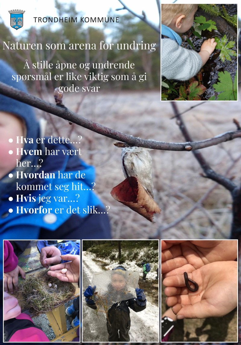 Naturen som arena for undring