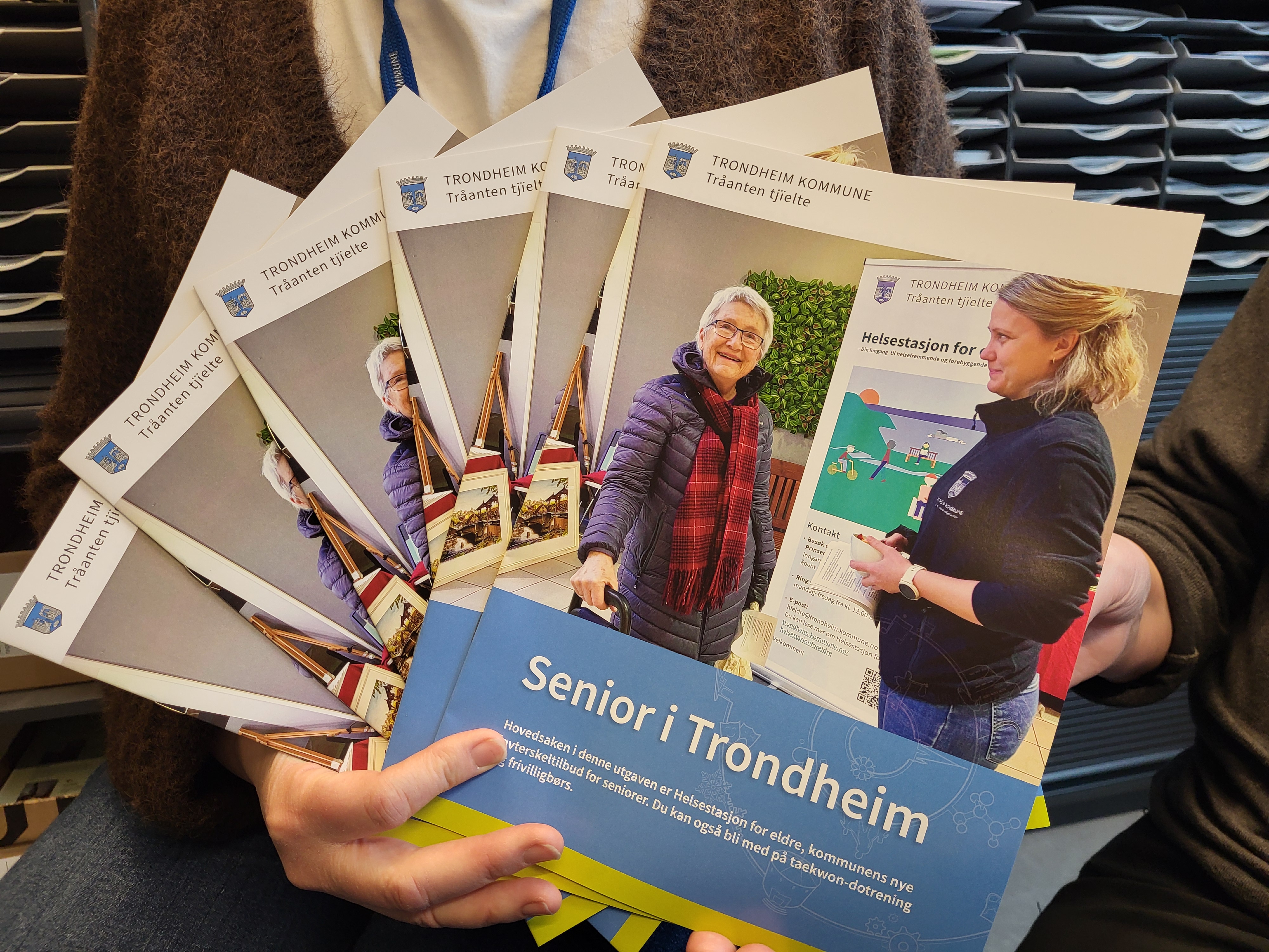 en bunke blader Senior i Trondheim