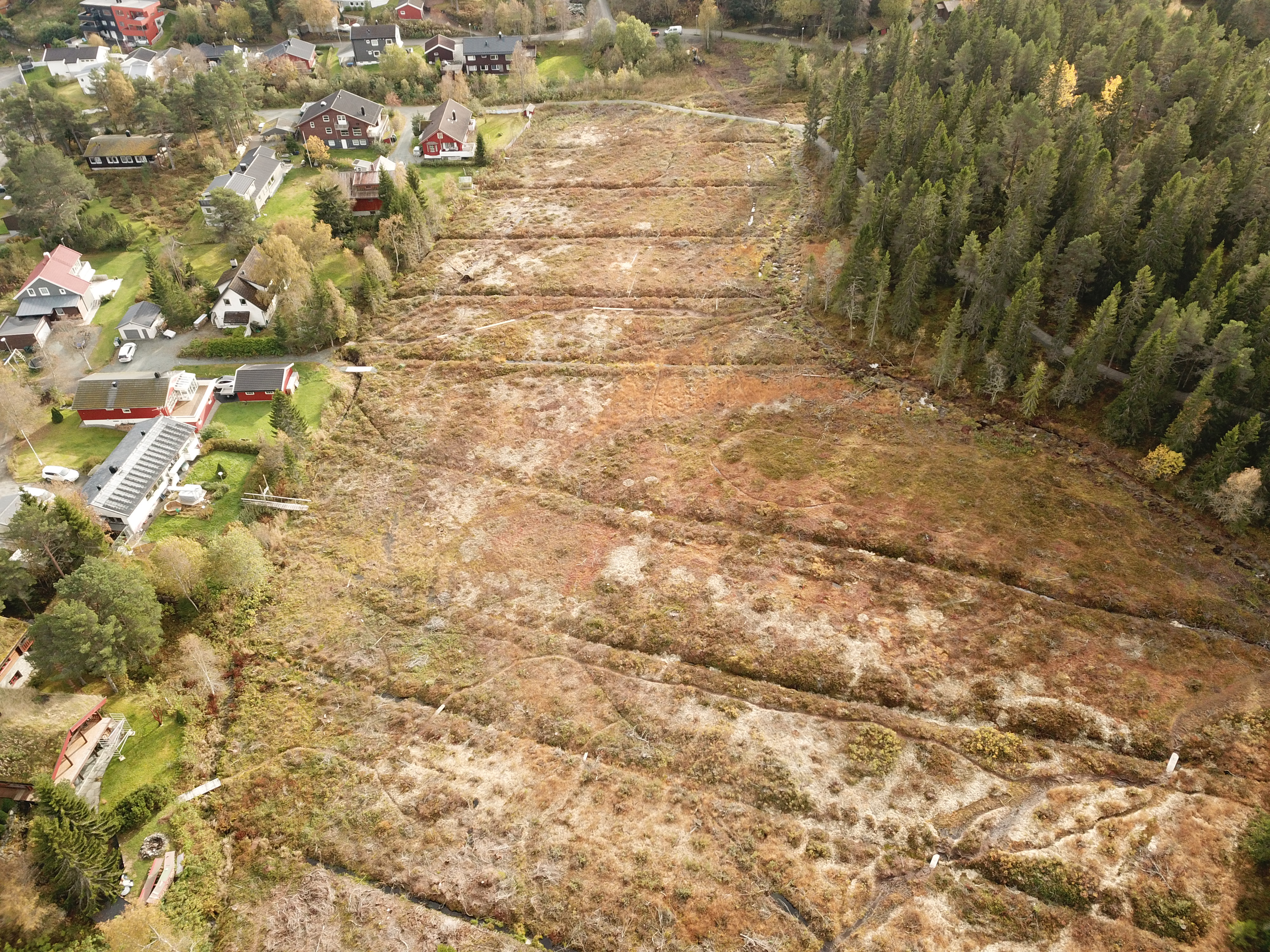 Dronebildet av Lianmyra