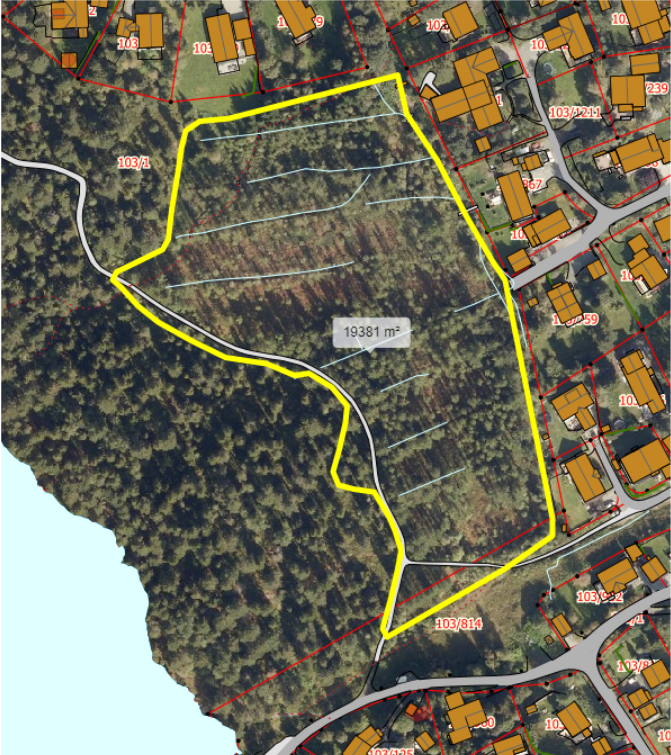Bildetekst: Bilde 1 viser hvilken del av Lianmyra som skal restaureres. Området er markert med en gul firkant. De blå strekene på bildet viser hvor dagens grøfter går.