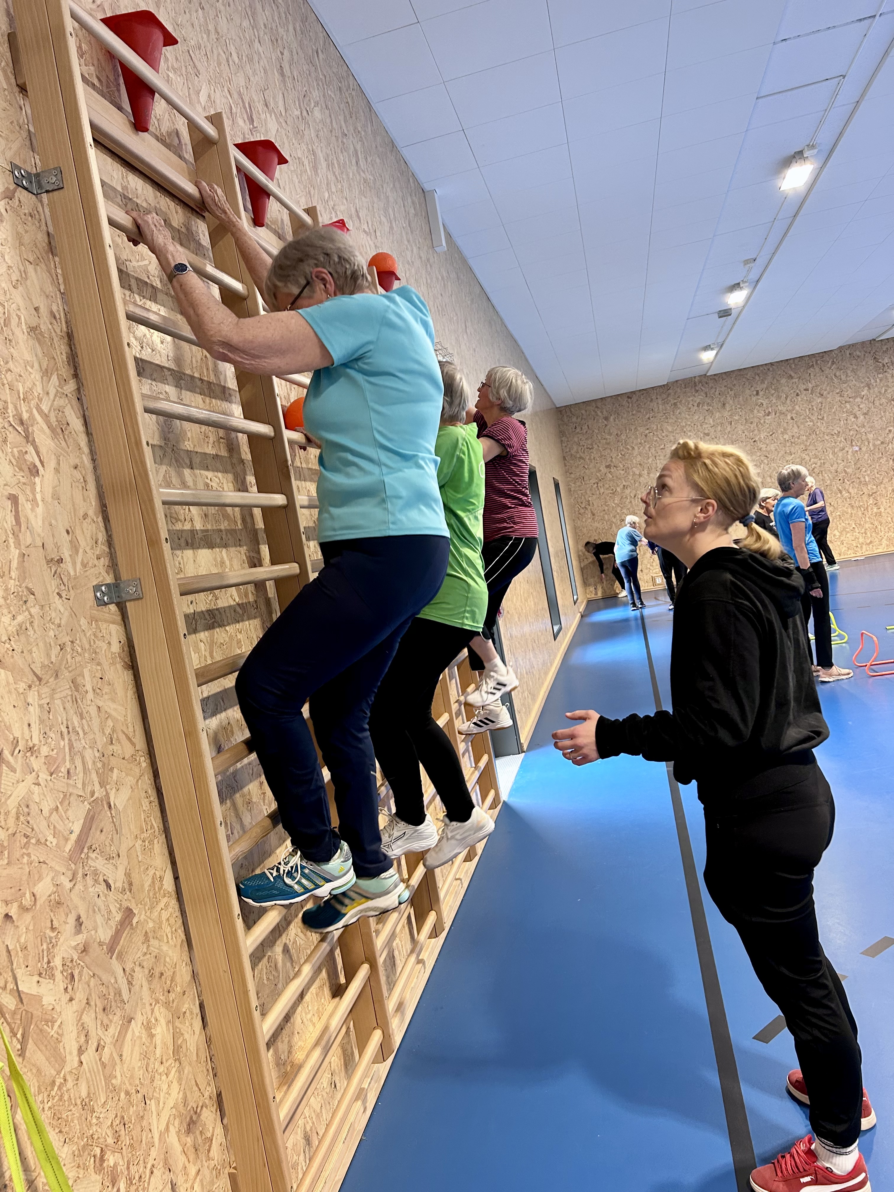 klatring i ribbevegg