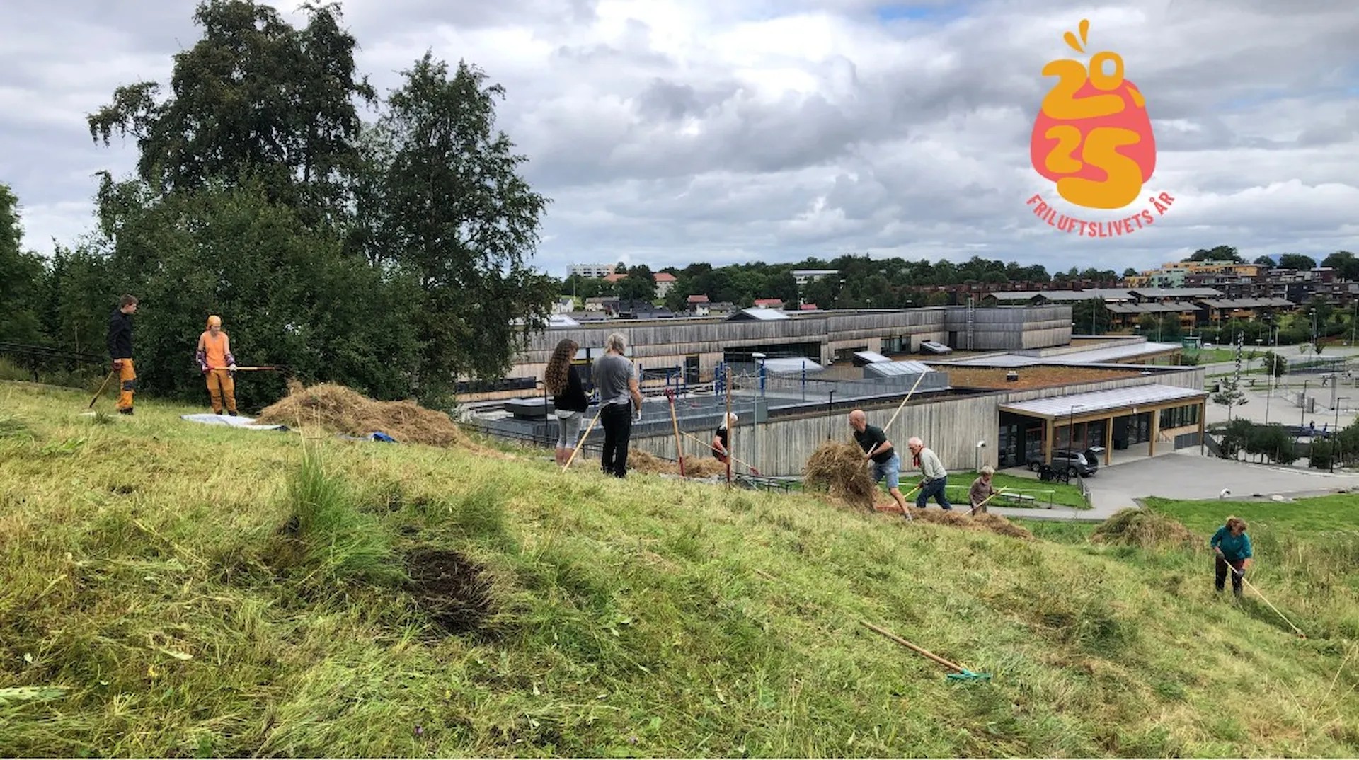 Slåttonn med frivillige.