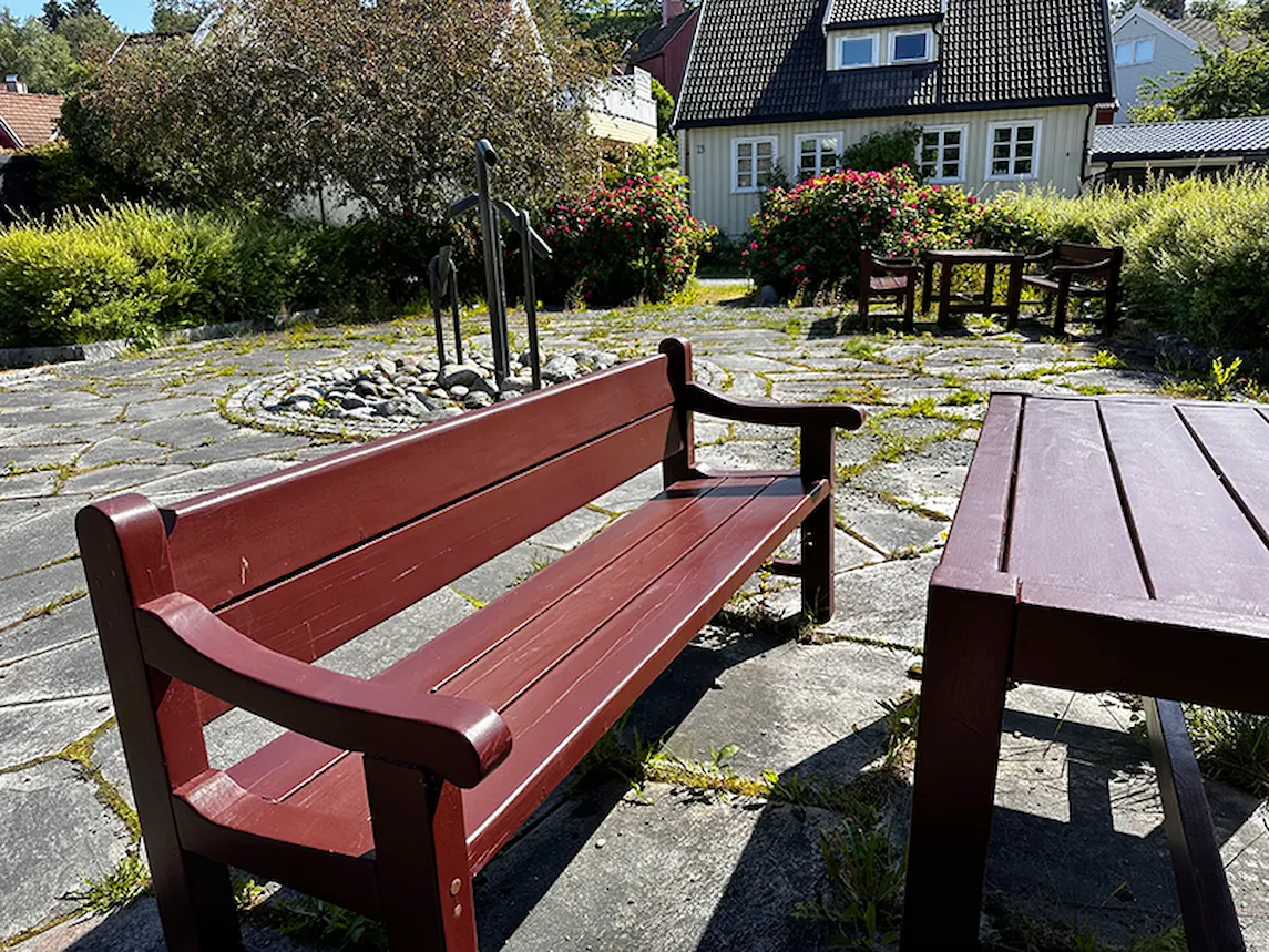 Professor Pedersens plass
