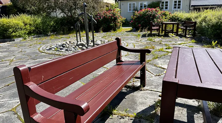 Professor Pedersens plass