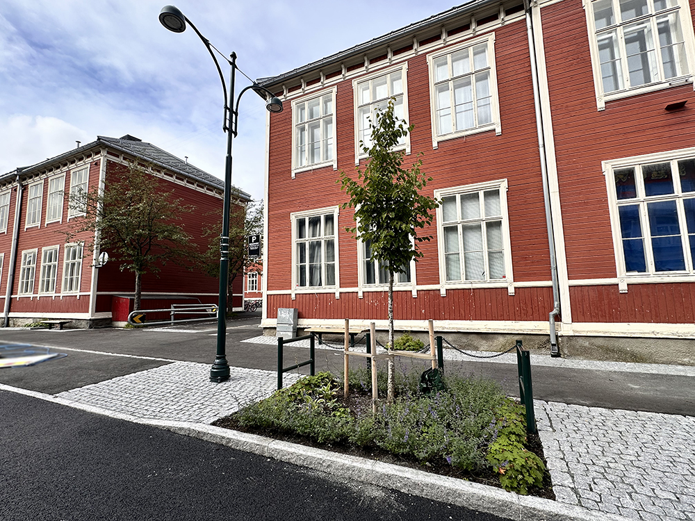 Gata med plantebed og nye lysmaster