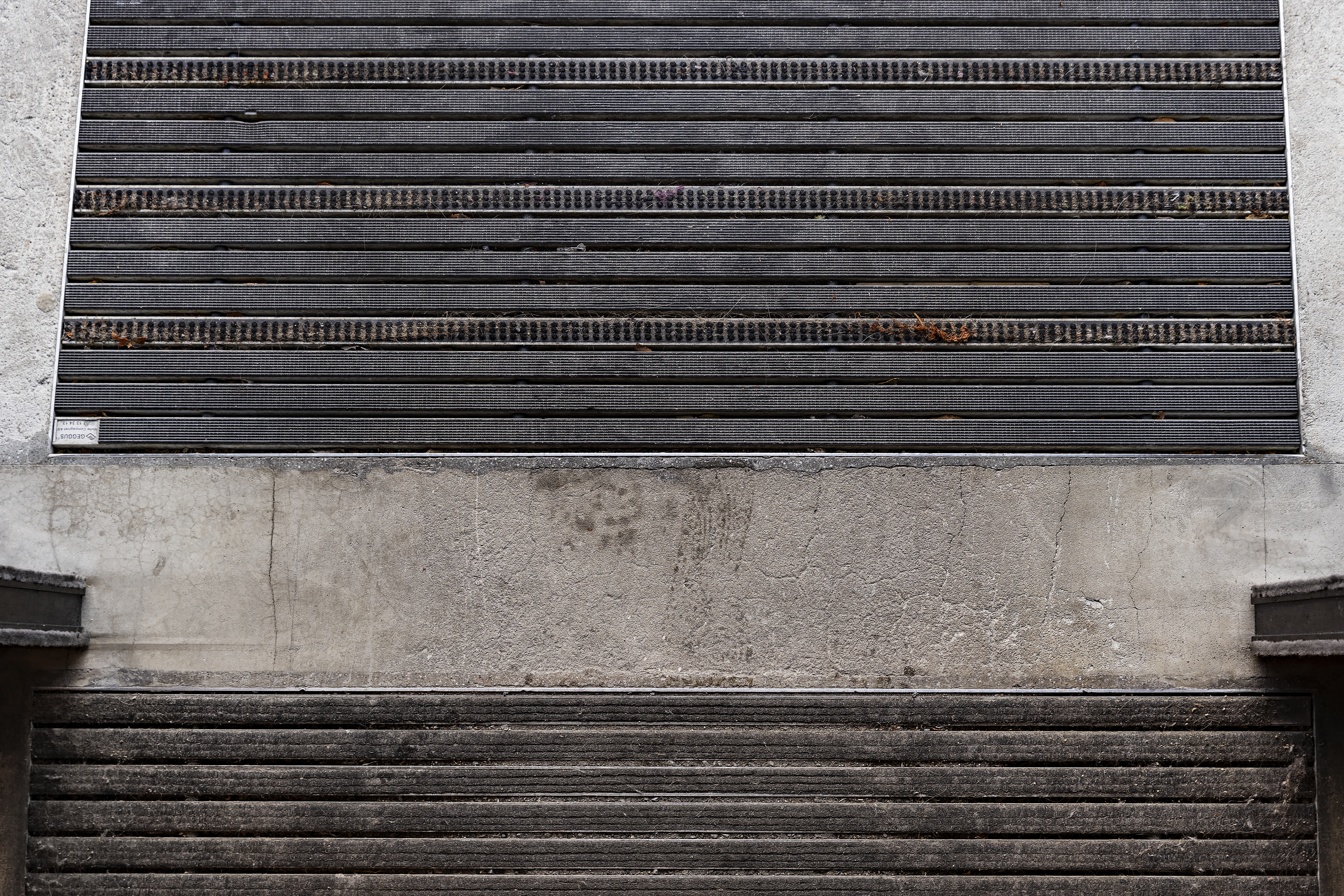 N&aelig;rbilde av terkel ved inngsd&oslash;r