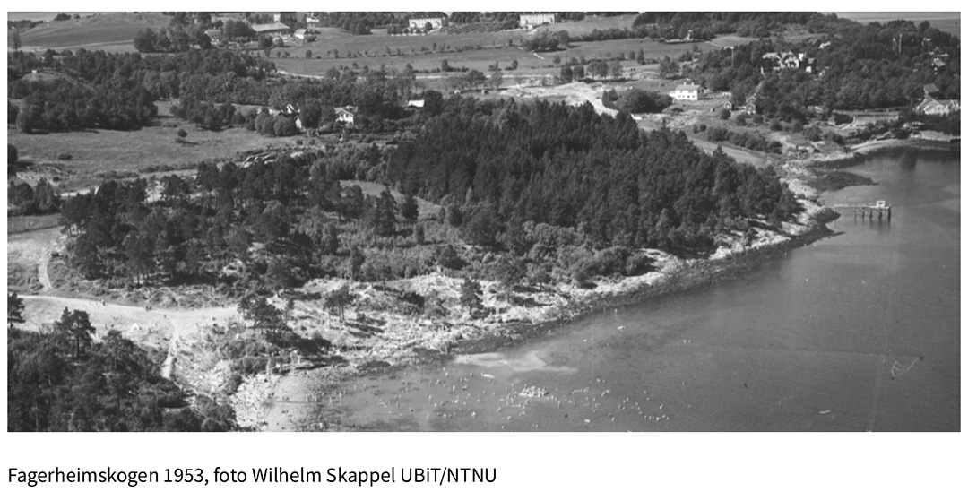 Flyfoto Fagerheimskogen