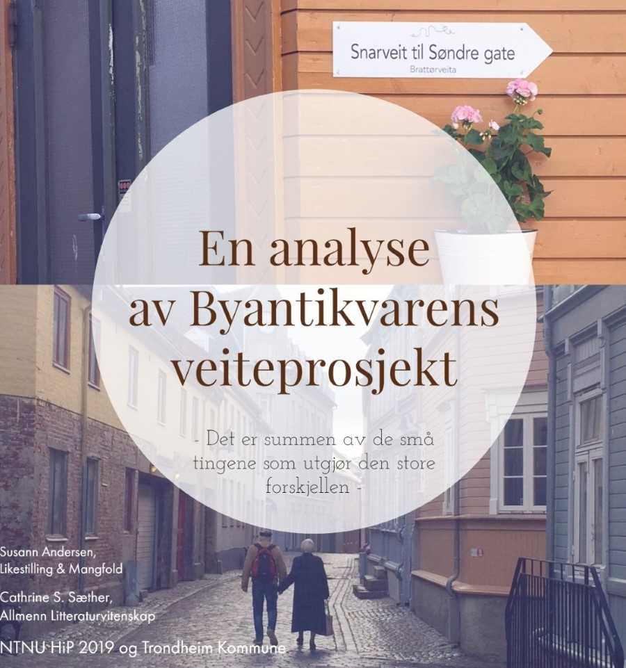 Til analyse av Byantikvarens veiteprosjekt