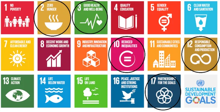SDGs som sharenotwaste bryr seg om (2,3,10,12,17)