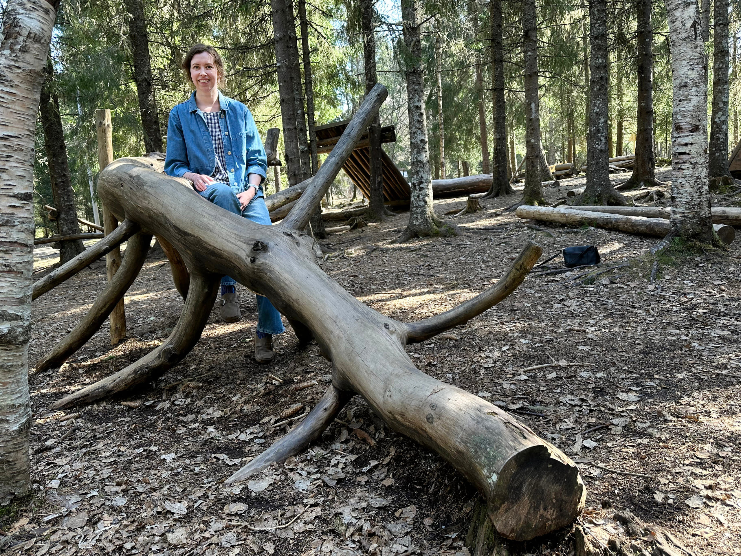 Prosketlederen bak en trestamme