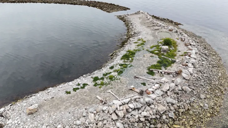 Etablert fugleøy