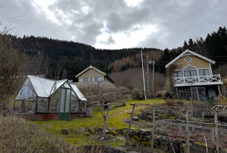 Skog med uønskede arter bak Klemetsaunet