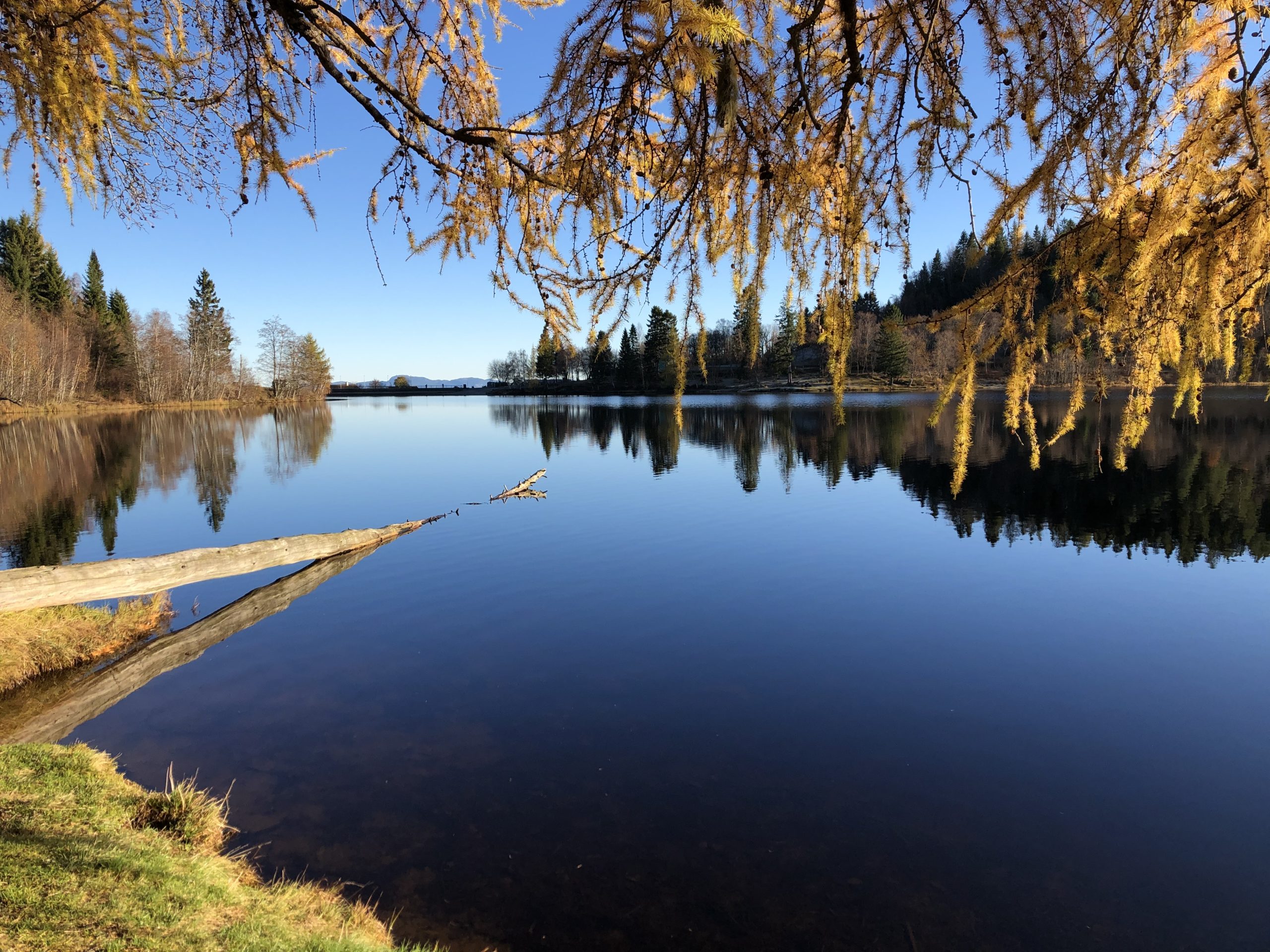 Theisendammen i sollys. Stille vann.