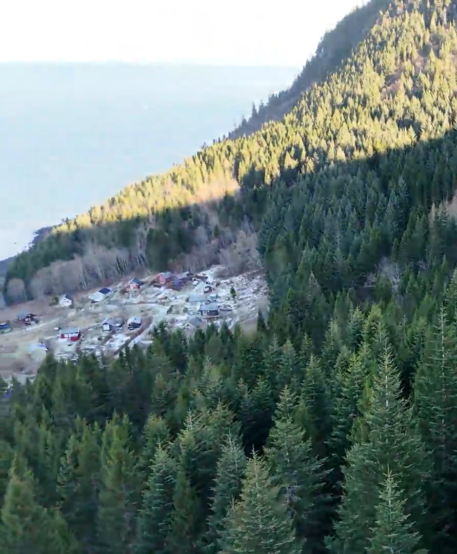 Et flyfoto viser en liten husklynge i et bratt, skogkledd terreng som skråner ned mot et vann eller hav i bakgrunnen, der tette furutrær dominerer forgrunnen og sidene.