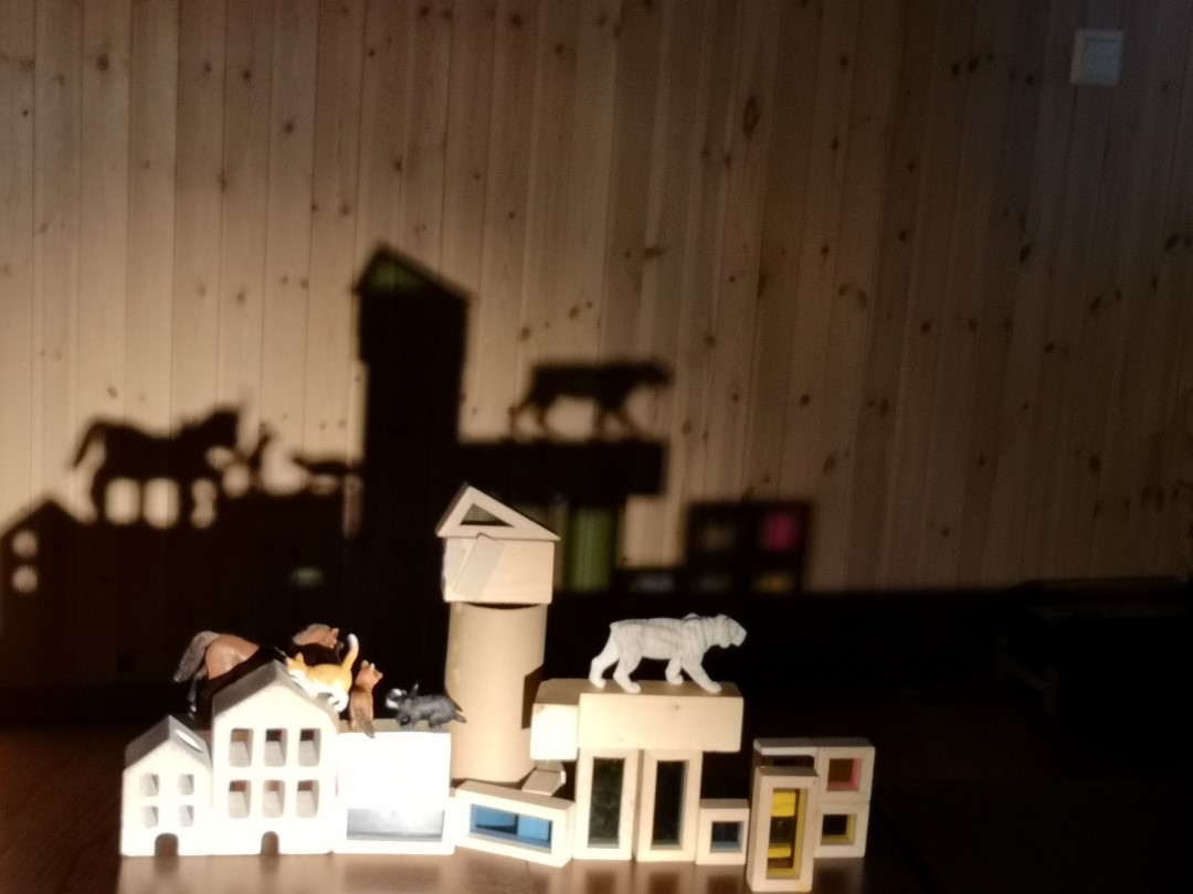 Dyr og klosser med skygge