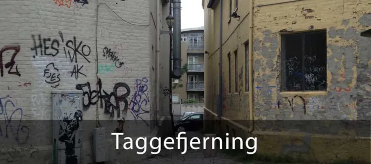 Lenke til side for taggefjerning