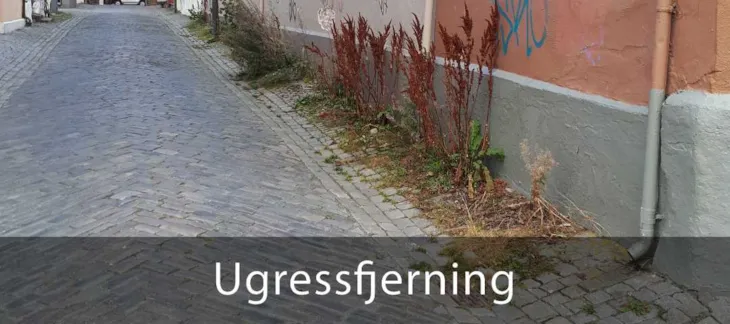 Lenke til nettside for ugressfjerning