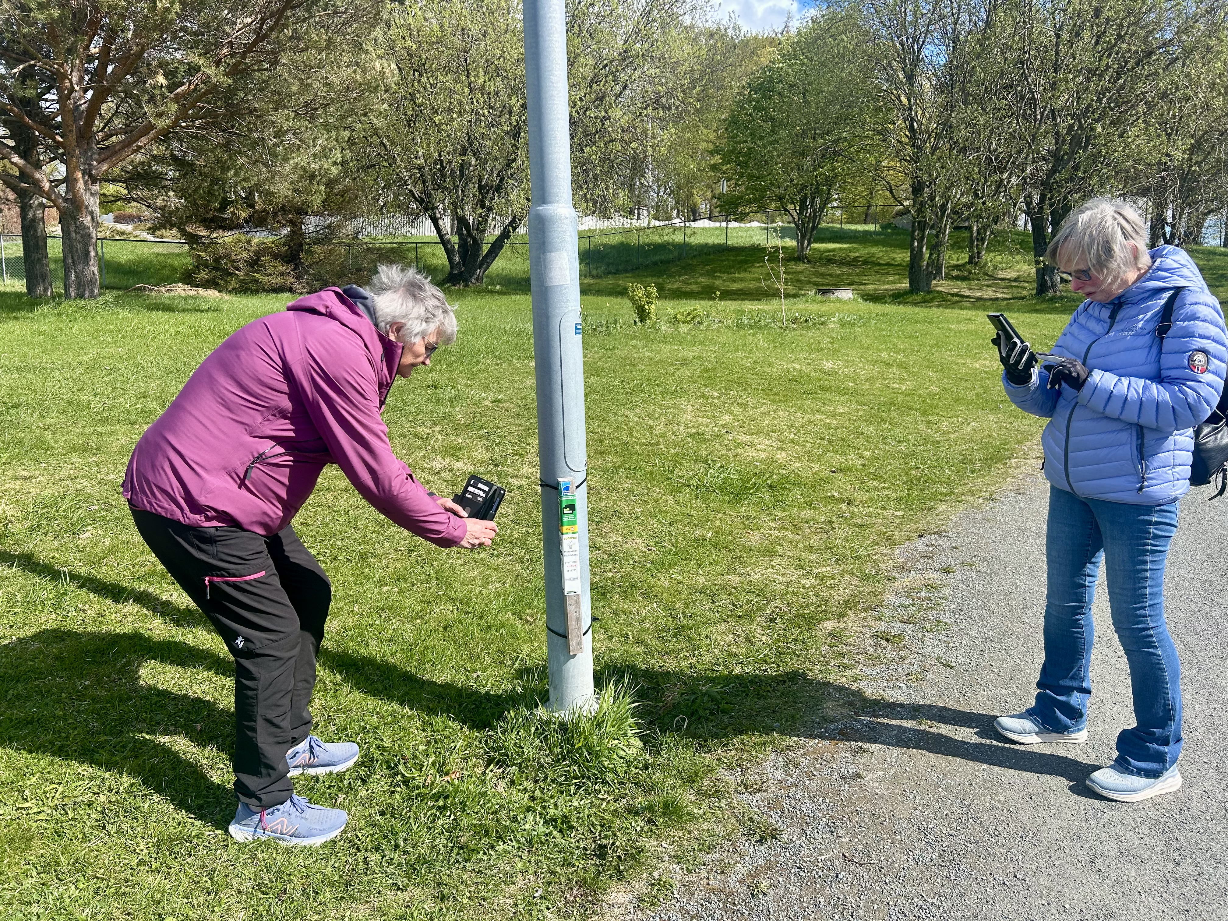 to damer på stolpejakt