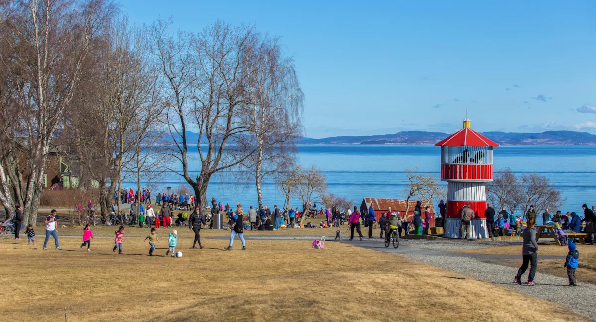 Våren er kommet... Foto: Øyvind Blomstereng