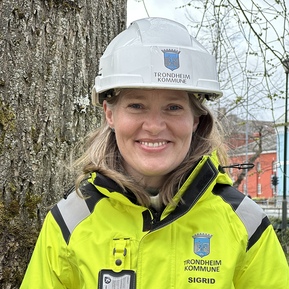 Sigrid Gilleberg