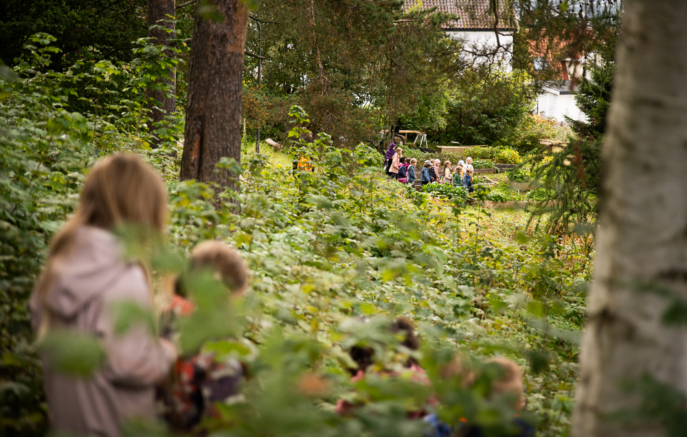 skog