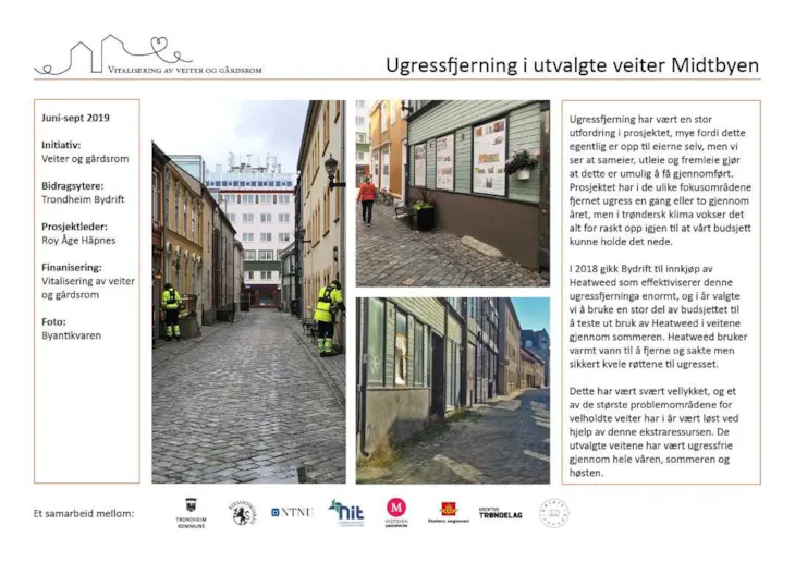 Mere informasjon om ugressfjerning i utvalgte veiter i Midtbyen