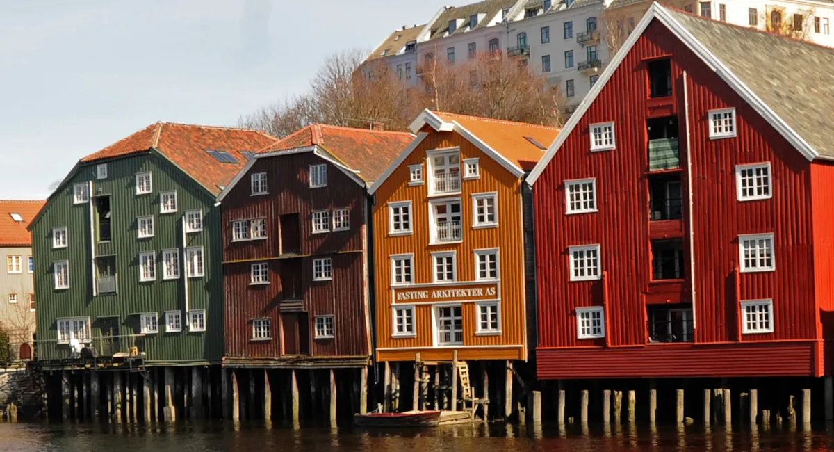 Bryggerekka