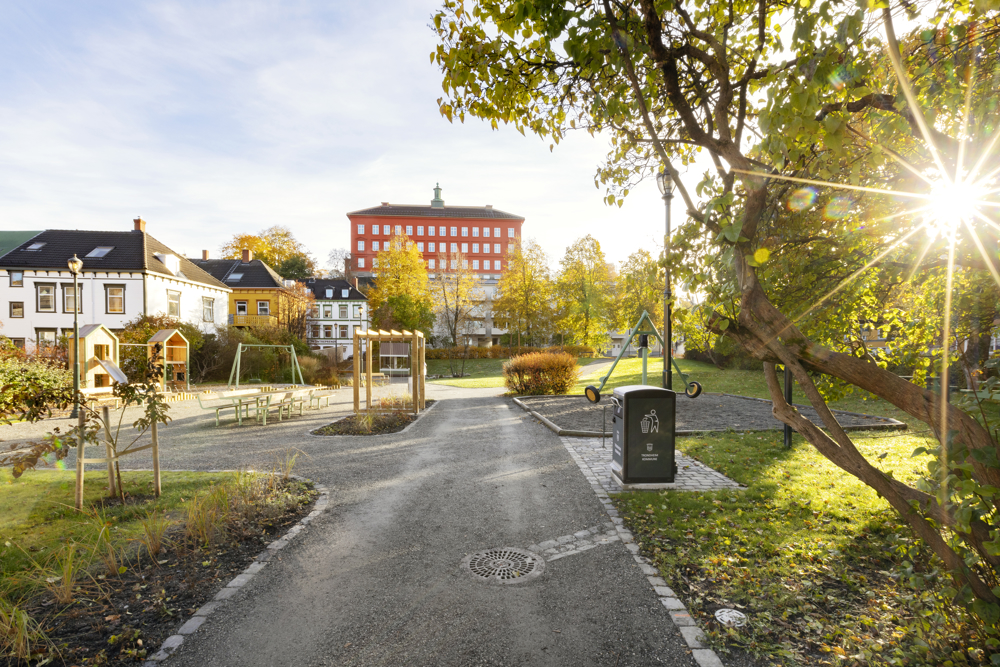 Parken i solskinn