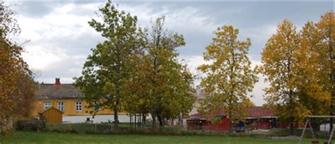 Havsteinaunet barnehage