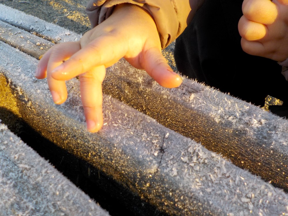 en barnefinger kjenner på rimfrost