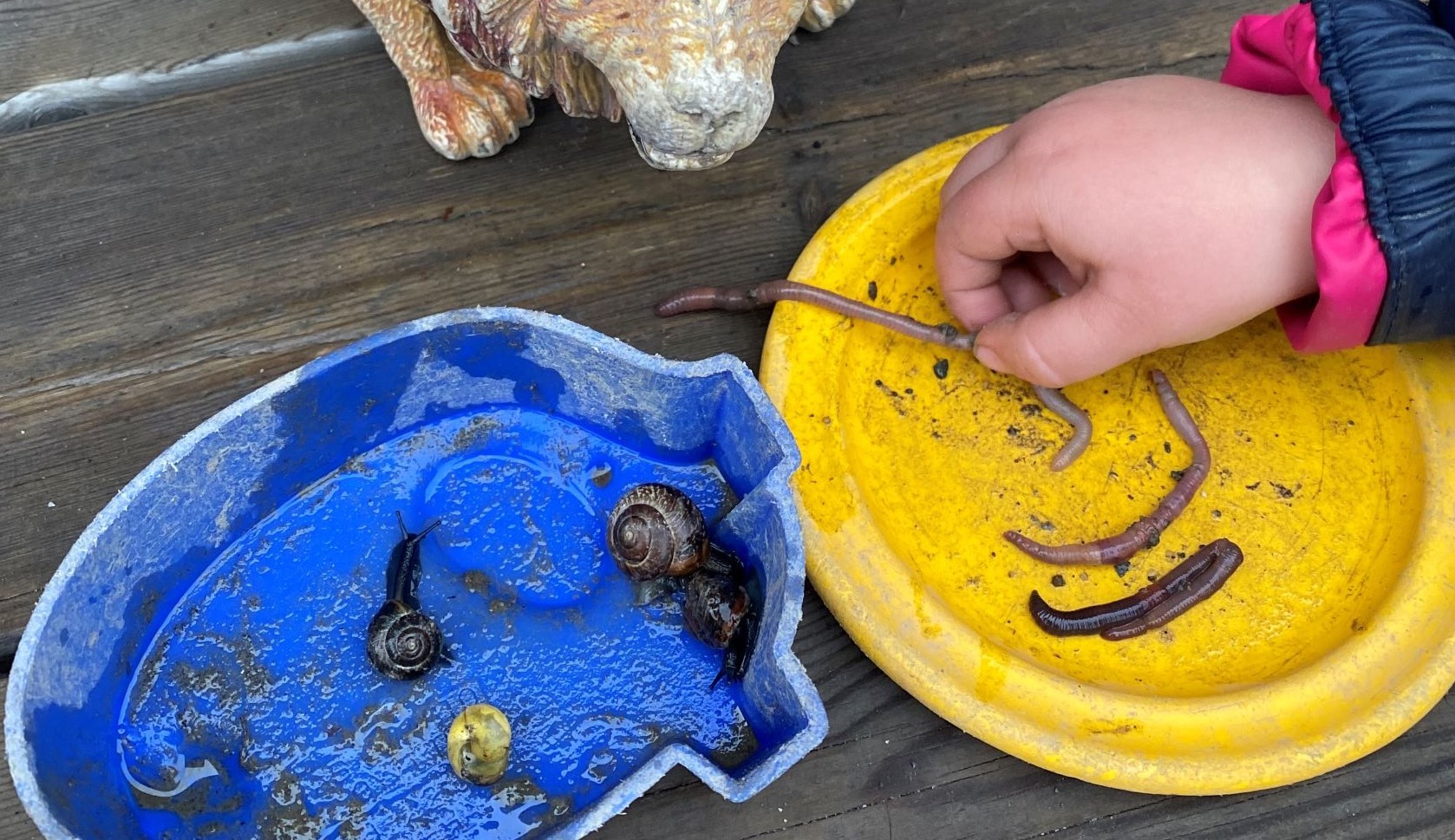 barn som leker med vann og mark