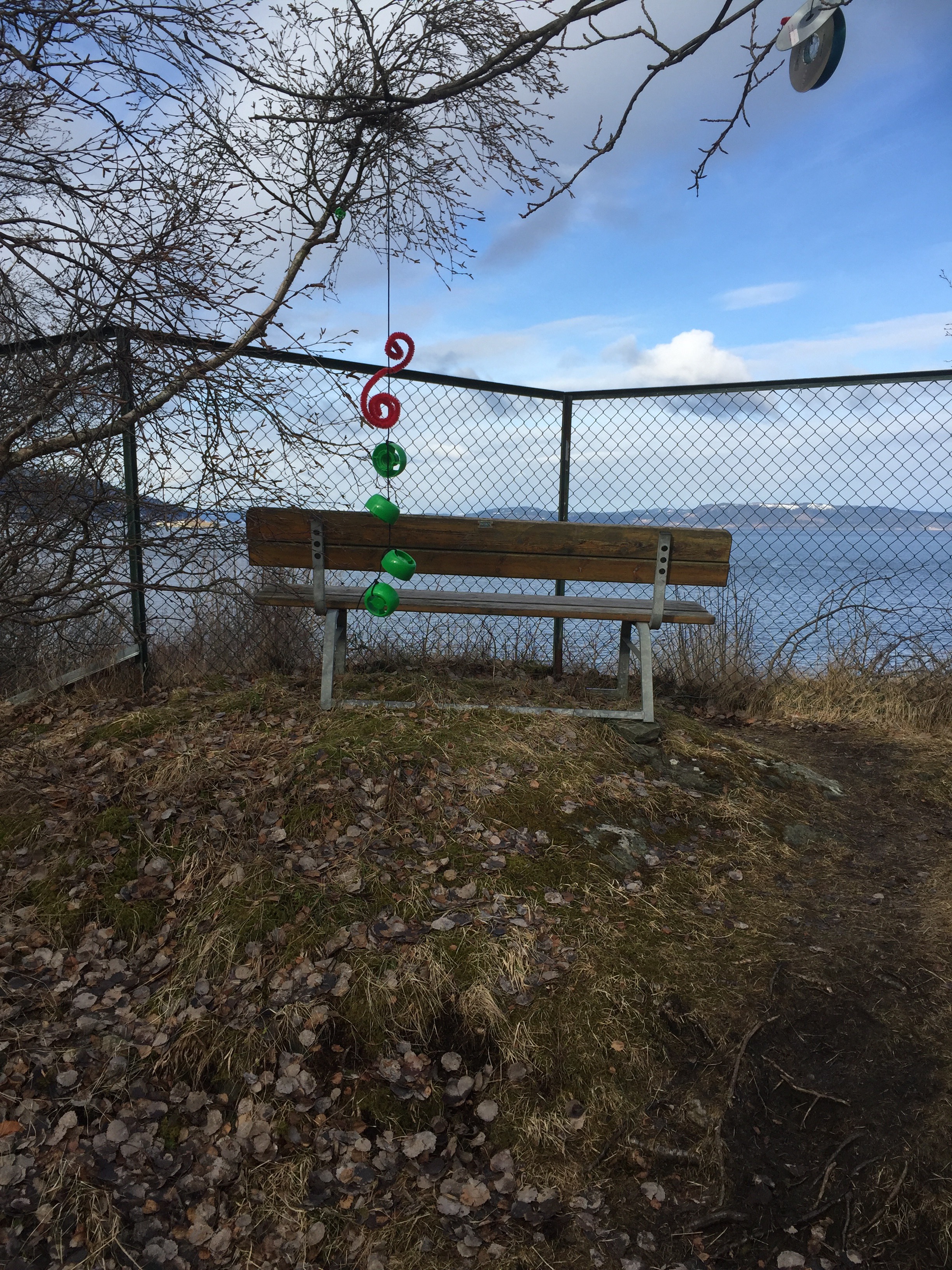Benk med utsikt over Trondheimsfjorden