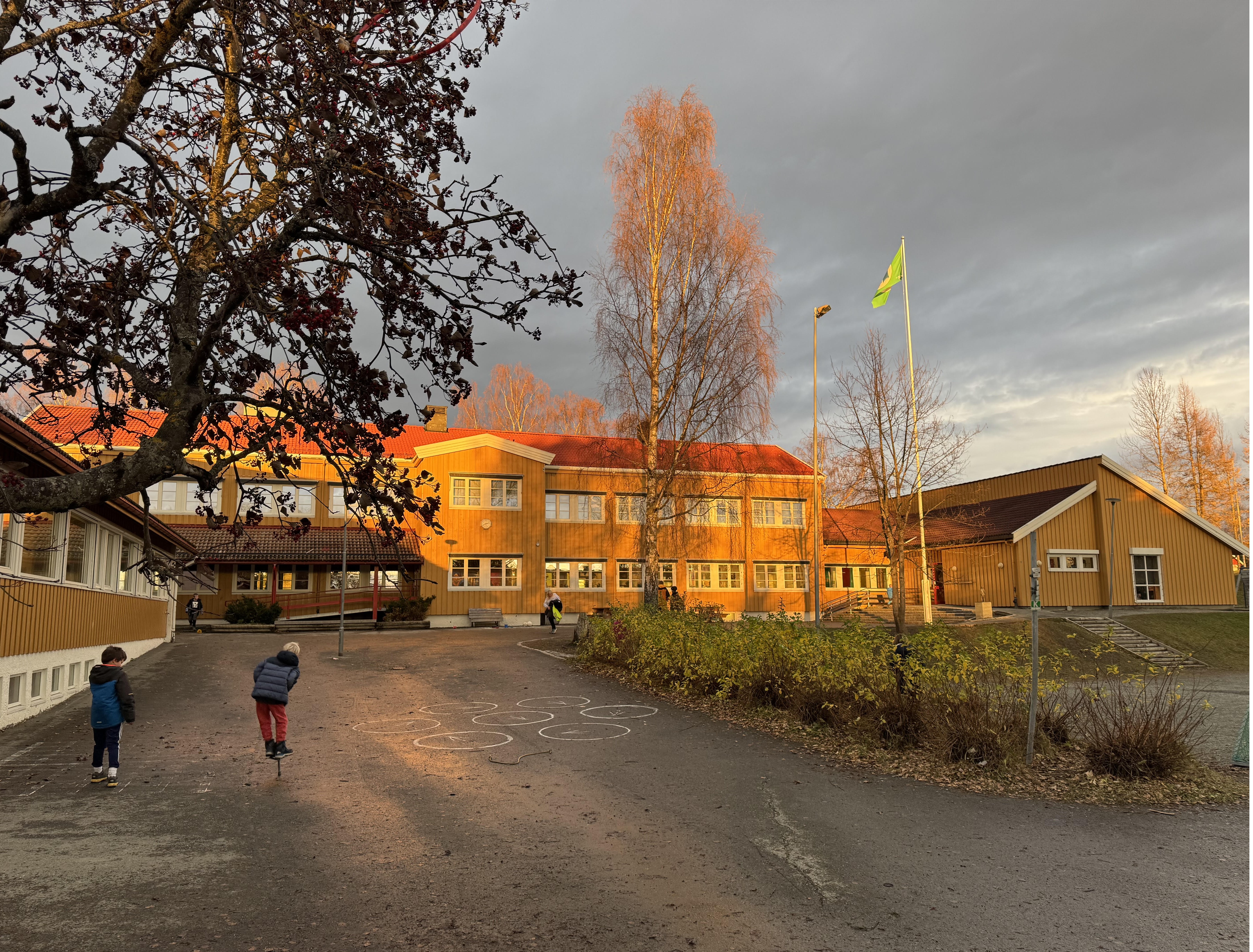 Nypvang skole